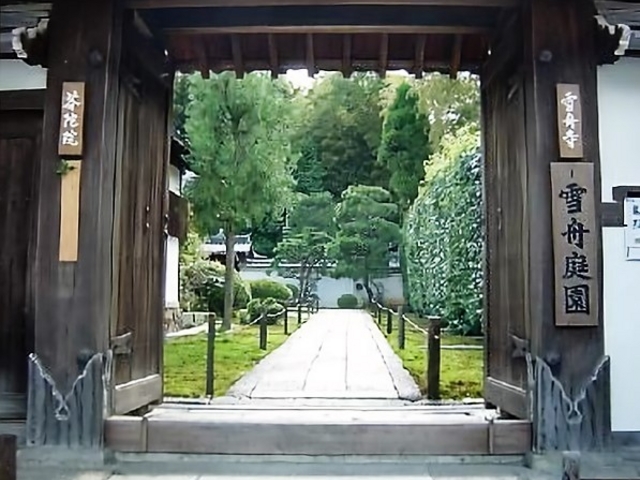 �����_䎑ɉ@