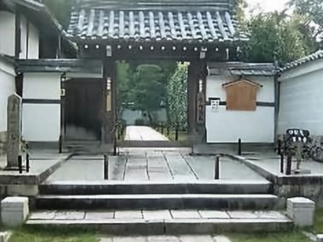 �����_䎑ɉ@