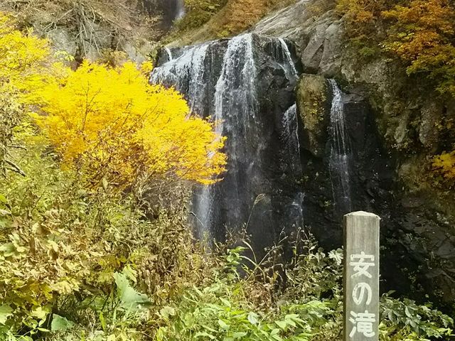 ��̑S�i�P_���m���k�J�E���̑�