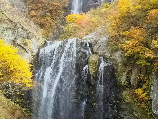 ��̑S�i�Q_���m���k�J�E���̑�