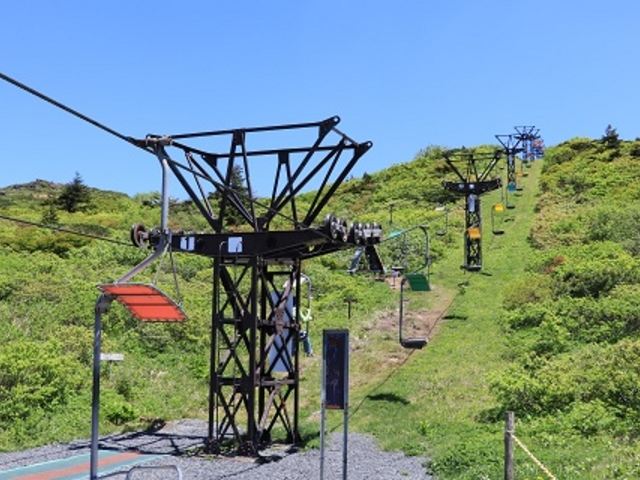 񂳂̃O[GR[EzCgGR[̓eʐ^1