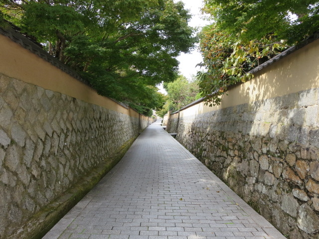 ~X^[oUC̏鉺{̓eʐ^3