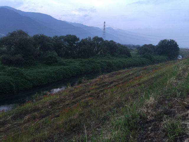 񂳂̒É̔ފ݉Ԃ̓eʐ^1