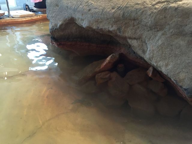 _̉wÍ`̗܂ƁE났L