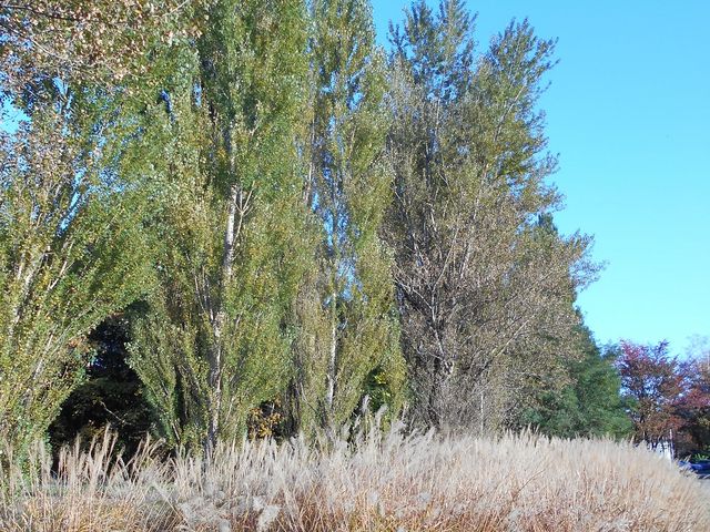 �������ƃ|�v��_�k��|�v������