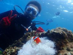 O[X̃_CrOT[rXEՂ܂ǂւ̓eʐ^1