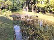 e-񂳂̖t̗@^쉑̓eʐ^4