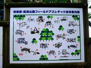 ̑͌atB[hAX`bN̓eʐ^7