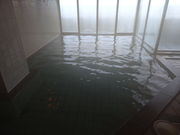 satotanâ͂܂Ȃ̓eʐ^2