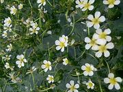 񂳂̓cÑoCJi~ԑj̓eʐ^1