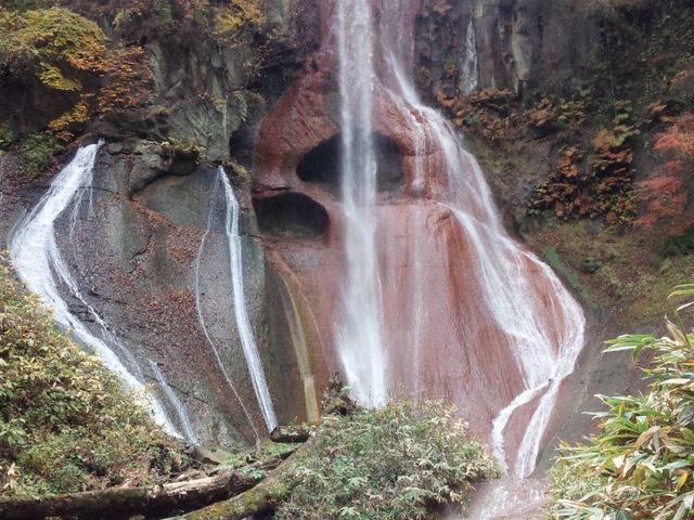 団扇仙人掌。◻️枝垂れ滝 嫗仙の滝】アクセス・営業時間・料金情報 - じゃらんnet
