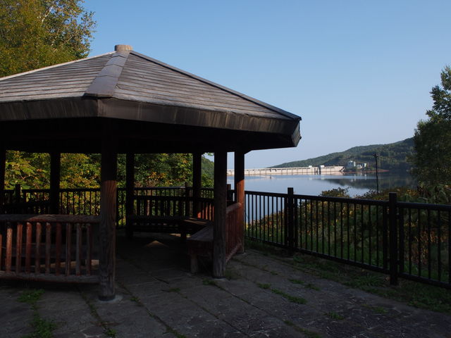 �_���߂��ɂ������̓��������Ă��Ă���_�����_��