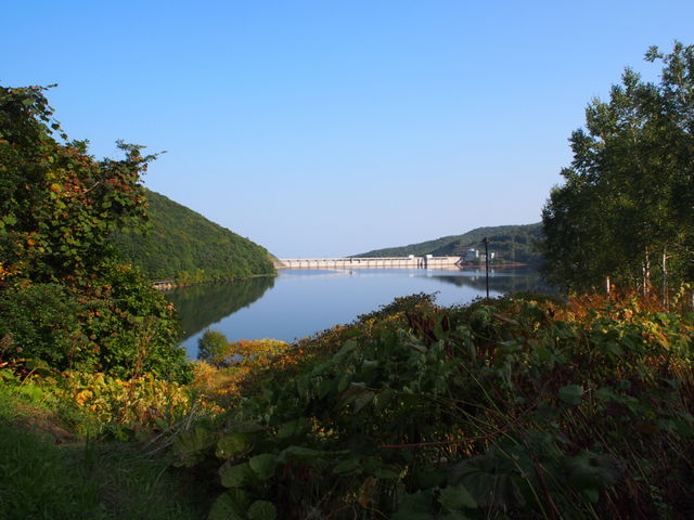 �_���̗l�q_�����_��