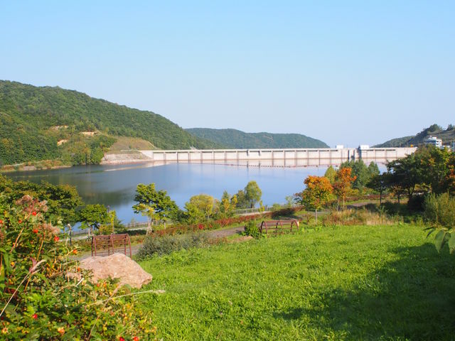 �V��������������Ă���_�����_��