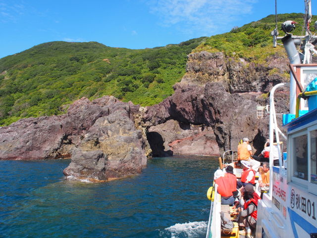 ��V��_�y�x�Ɓz�j���C��V���D