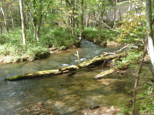 ����_����