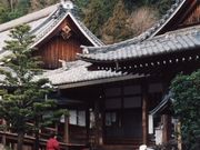 Ђł񂳂̎@Ւ뉀̓eʐ^1