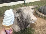 ͂邳̖kAvXq꒼X̓eʐ^1