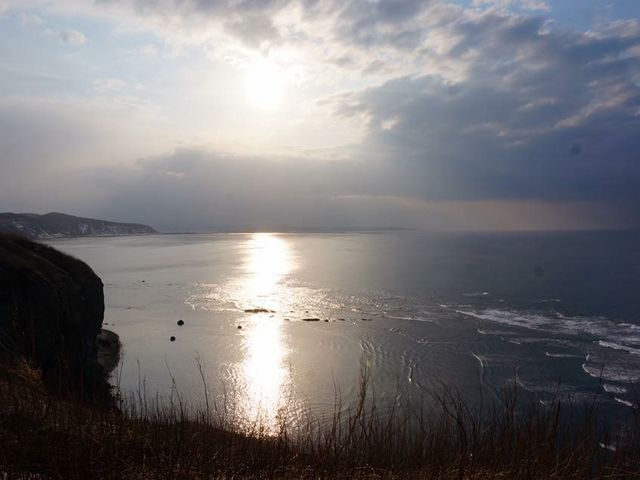 �[�Ă����Y�킾_�\�斦�C��