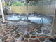 ponyさんの湯遊び処 箱根の湯の投稿写真1