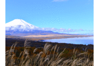 ߂݂̎RΖ_Rpm}̓eʐ^1