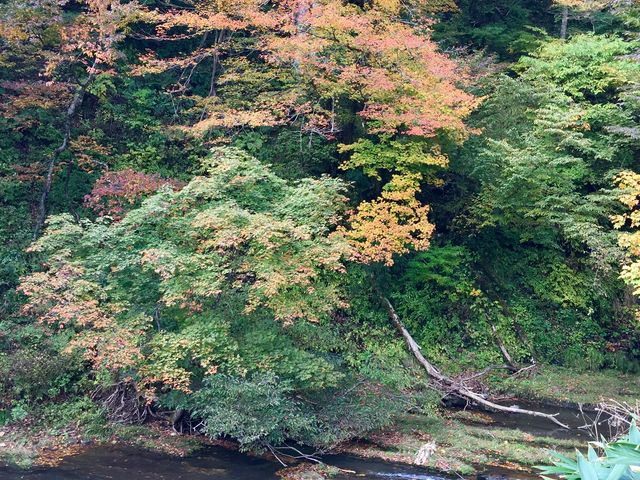 ܂Ⴓ̏㏬mR~jeBZ^[iRӂj̓eʐ^1