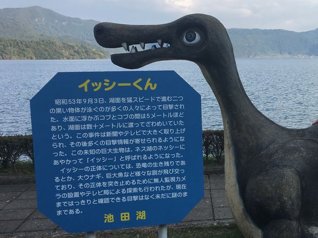 �C�b�V�[����_�r�c��