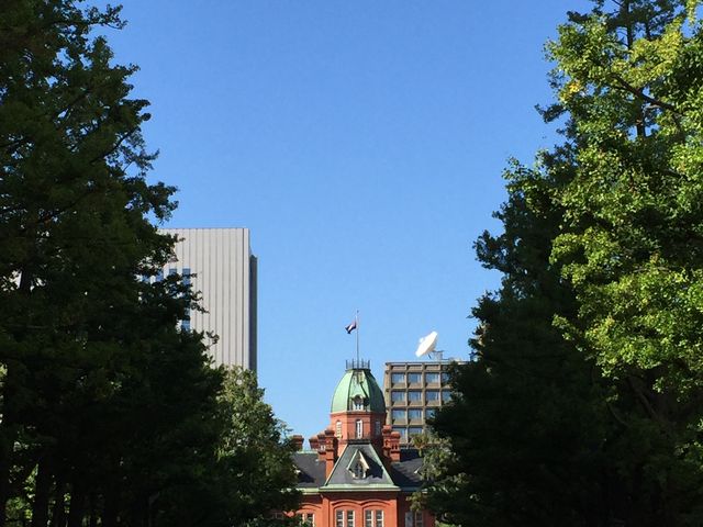 �k�C�������{����(�Ԃ�񂪒���)