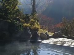 freebird̔nȉ@]̓ւ̓eʐ^1