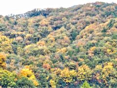 Ƃ񂳂̉T[rXGAijւ̓eʐ^1