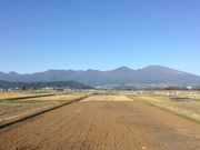 oii̓̉w قƂρ[Ȃ̓eʐ^1