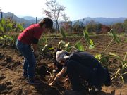 neko܂̌jEGlXp[N̓eʐ^1