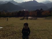 neko܂̌jEGlXp[N̓eʐ^3