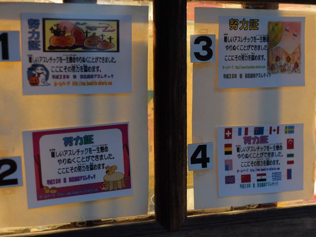 �A�X���`�b�N�I������炦���_�l�k�X�уA�X���`�b�N