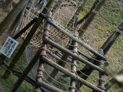 낿񂳂̕lkXуAX`bN̓eʐ^4