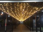 RUGBỸ}NhihOwOplXX̓eʐ^1