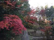 }Cann̗@i͊ωj̓eʐ^1