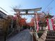 キヨさんの向日神社の投稿写真1