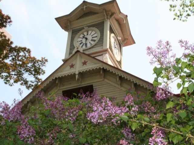 ���v��_�D�y�s���v��