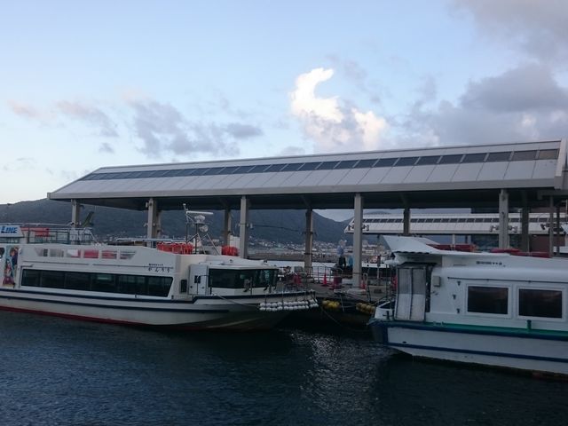 �D�̂��_����?��i�q�H�i����?��i�`�j