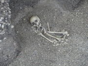 ̋gӊLˎjՌuVF}悵v̓eʐ^2