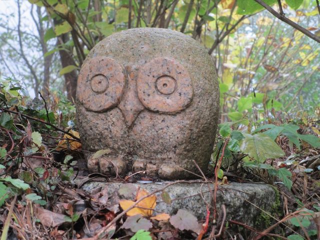 �Ȃ��Ȃ��y����_�h�q�R��_��