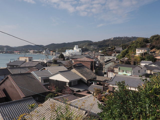 sklfĥ܂Ւʂ̓eʐ^1