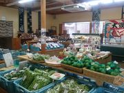 Xkv̑啪̋@̉w@̓eʐ^1