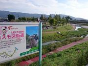 Xkv̋vĎs̃RXXX̓eʐ^1