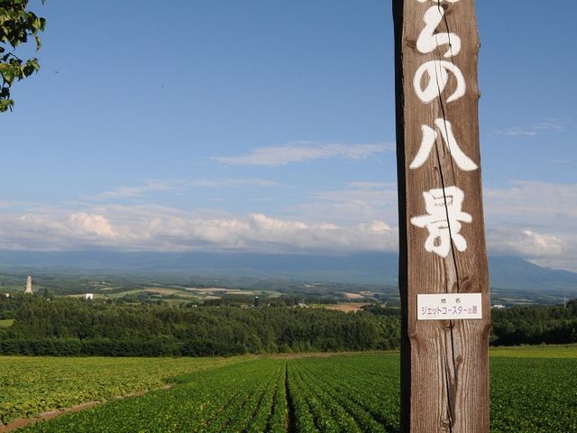 �W�F�b�g�R�[�X�^�[�̘H�̊Ŕ�_�W�F�b�g�R�[�X�^�[�̘H