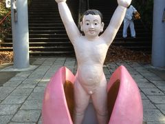 kojifuji̓Y_Ђւ̓eʐ^1