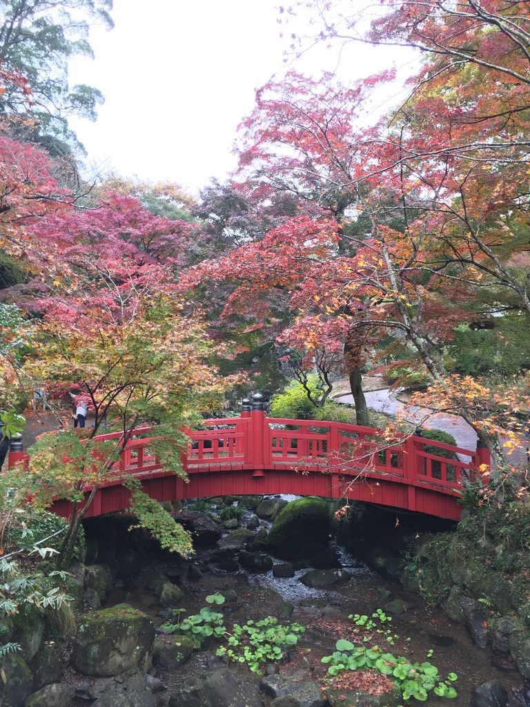 静岡 熱海ドライブスポットおすすめ選 温泉や神社など じゃらんレンタカードライブガイド