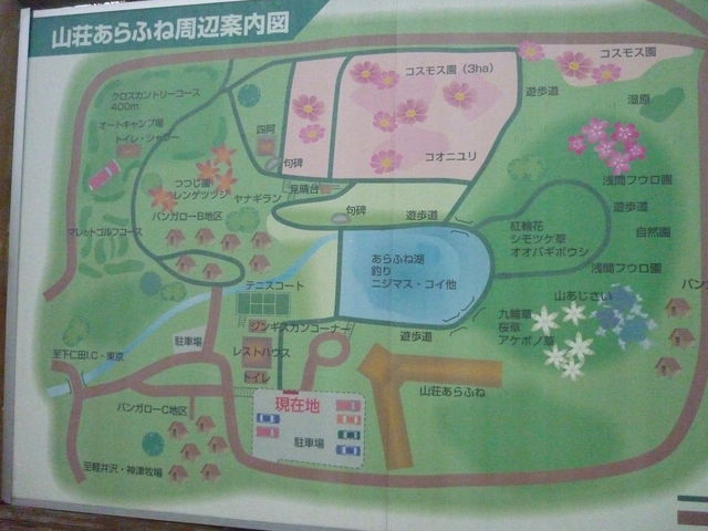 cJ擙X͂̏Zl̓Rq̑RXX̓eʐ^1