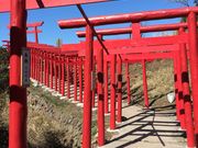 �́[�т���̐���~�i�R��������s�j�̓��e�ʐ^1